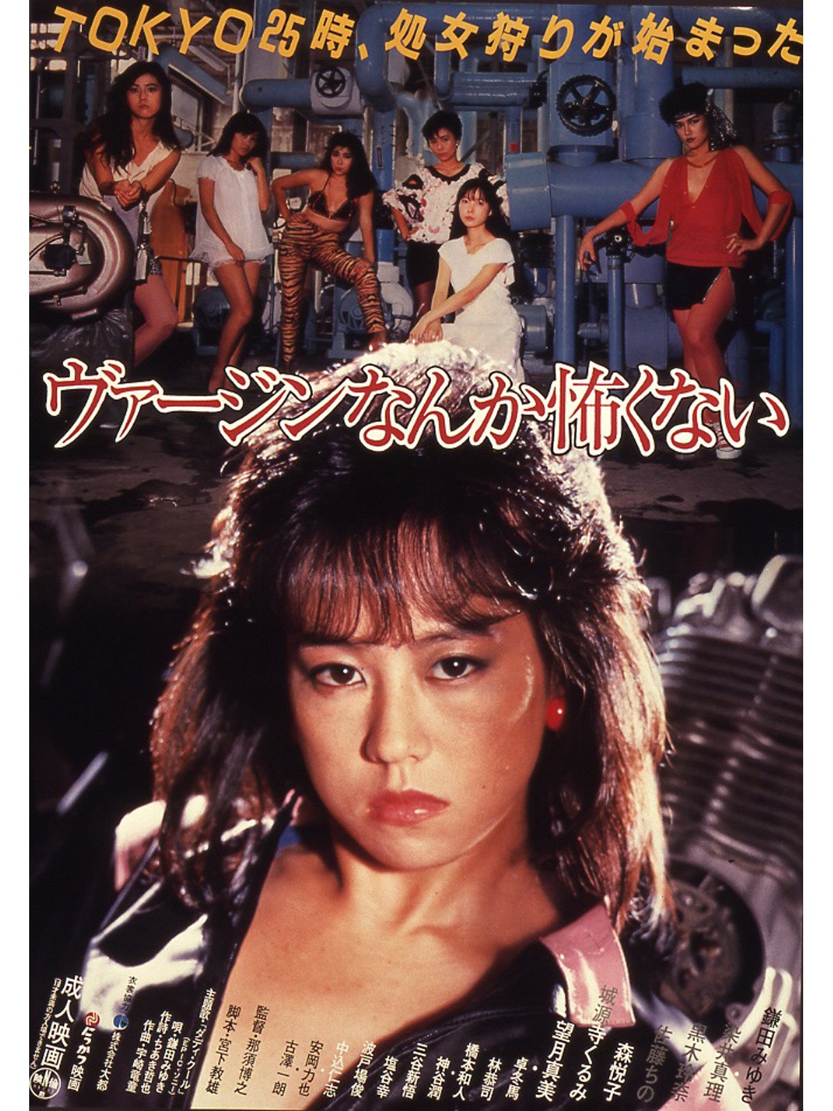 Amazon Co Jp ヴァージンなんか怖くない 鎌田みゆき 染井真理 黒木玲奈 佐藤ちの 森悦子 城源寺くるみ 望月真美 宮下教雄 那須博之 Prime Video