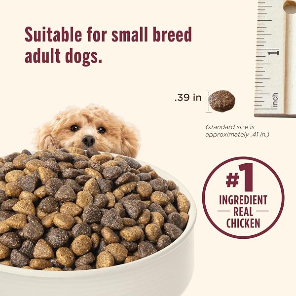 NUTRISH SMALL BREED REAL CHICKEN & VEGGIES RECIPE WHOLE HEALTH BLEND DRY DOG FOOD, 14 LB. BAG, PACKAGING MAY VARY (RACHAEL RAY)