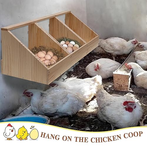 6 Compartment Chicken Nesting Boxes | Galvanized Steel Egg Laying Boxes With Roll-Out Tray For Coops