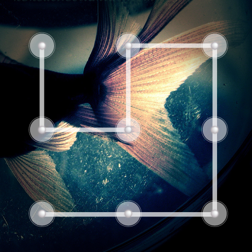 Fish Lock Screen : Fish Aquarium Wallpaper:Amazon.co.uk:Appstore for ...