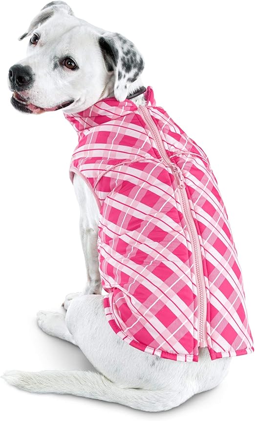 bond & co dog jacket