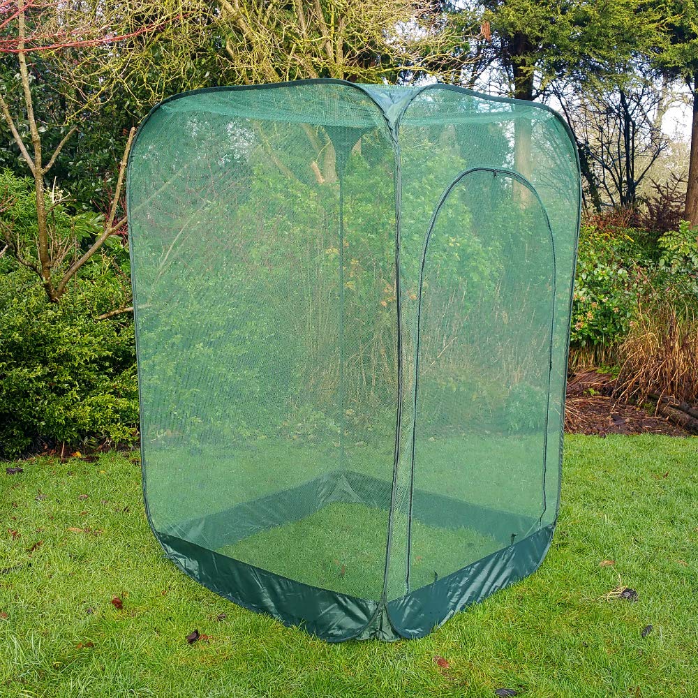 Protector de fácil montaje para frambuesas: Amazon.es: Jardín