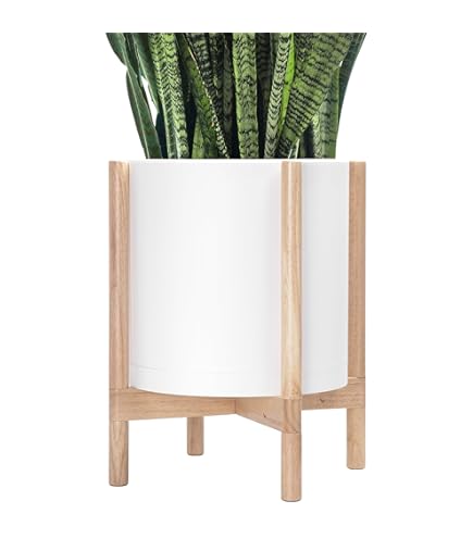 Amazon.com : D'vine Dev Modern White Plants Pot Cylinder Planter