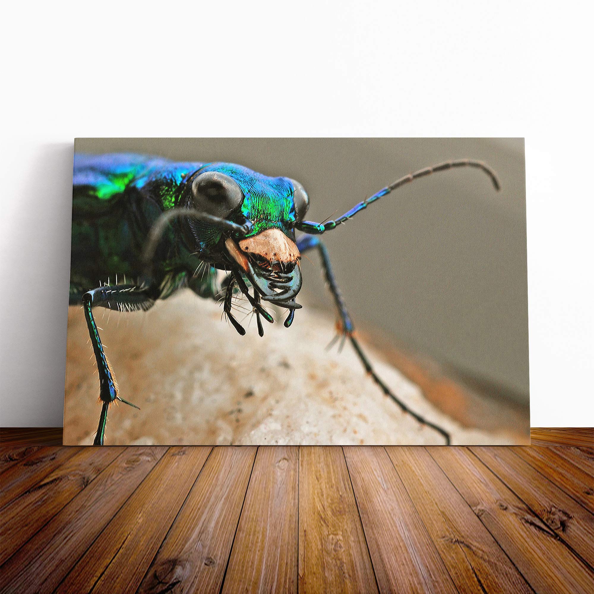 Tiger Beetle Insect Canvas Print | Gallery Wrapped 30mm Frame Wall Art | 20x14 inches | Ready to Hang | Modern Animals Picture | Living Room Bedroom Lounge Office