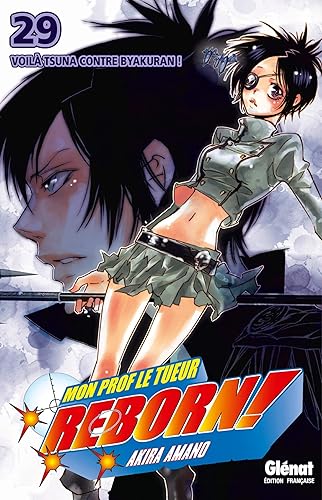 Download Reborn - Tome 29: Voilà Tsuna contre Byakuran PDF