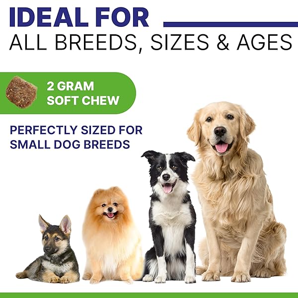 PAWSENTIAL OMEGA FISH OIL FOR DOGS – FOR DRY ITCHY SKIN – ALLERGY RELIEF FOR DOGS ITCHING – OMEGA SKIN&COAT SUPPLEMENT CHEWS – ANTI ITCH RELIEF, SHEDDING, HOT SPOTS – SKIN HEALTH VITAMINS -120 CT