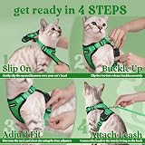 rabbitgoo Cat Harness and Lead Set XS Grass Green Adjustable Escape Proof view 8
