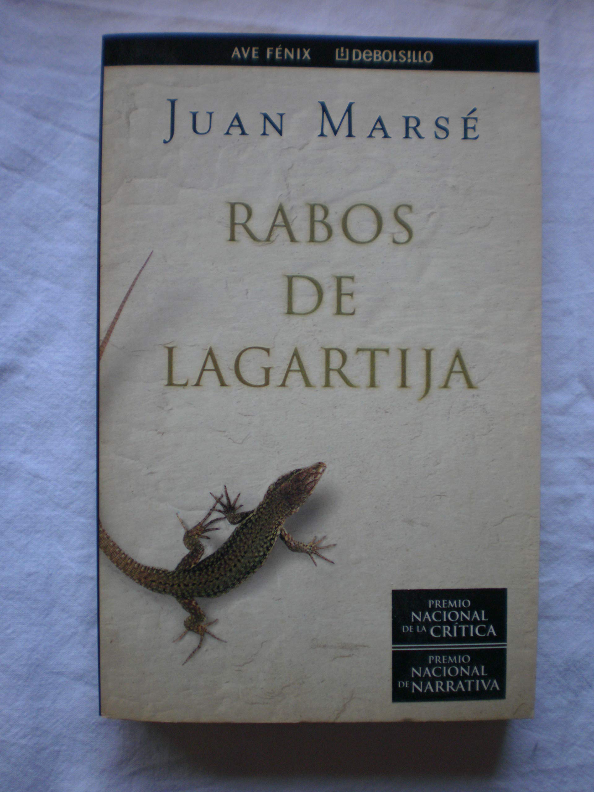 Portada de Rabos de lagartijaedic.