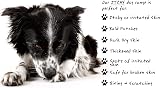 Petnat Dermacton Cream for Dogs - Itch Relief & Hair Regrowth view 6