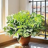 Sexacohu Artificial Plants Outdoor 10 Bundles(Artificial Greenery Fake Plants, Large Bunches Faux Plants with Stems and Plastic Leaves, Outdoor Bushes for Patio Front Porch Yard Garden Decor)