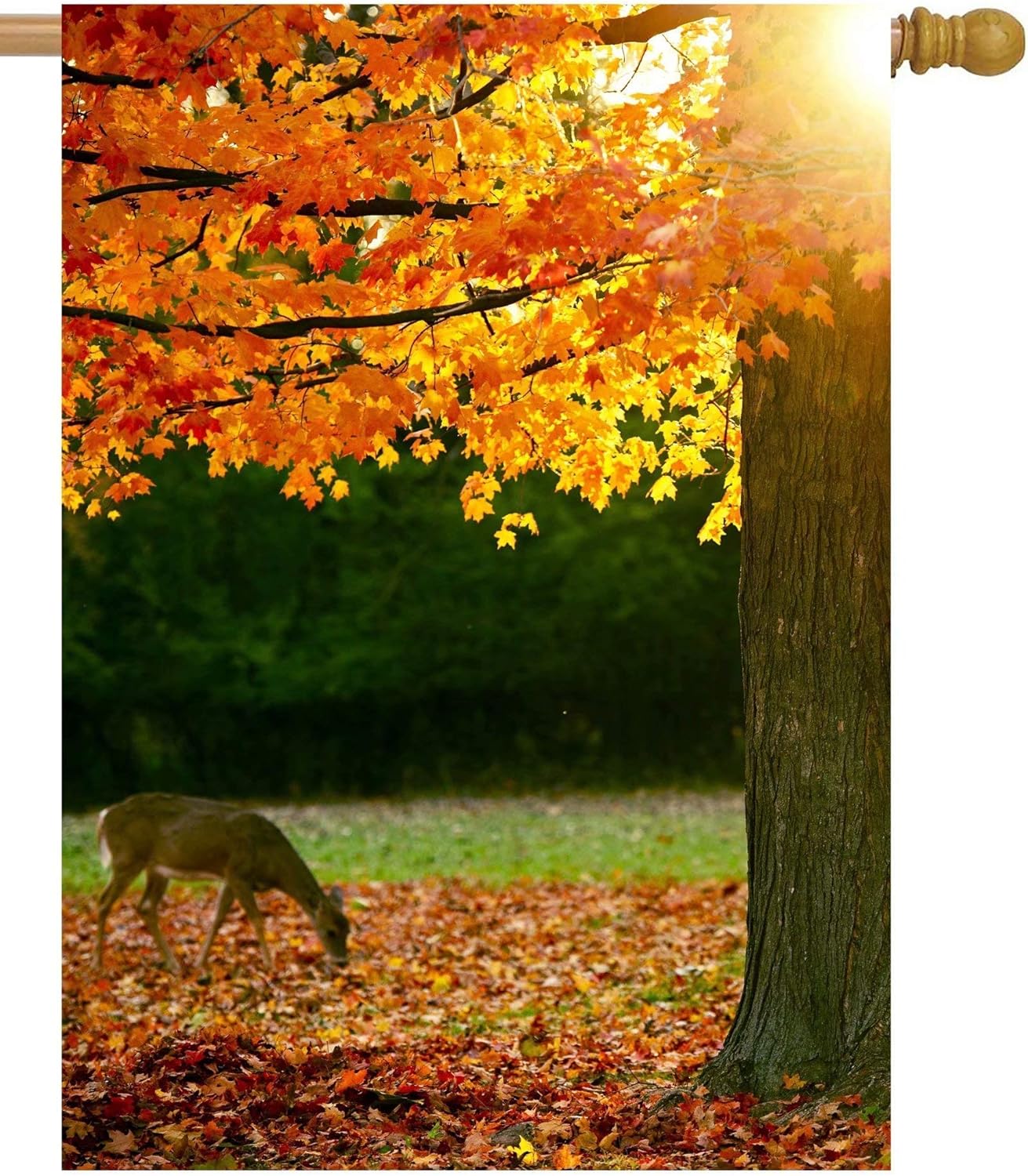 ShineSnow Autumn Forest Maple Tree Fall Leaves Animal Deer Golden Sunlight Seasonal House Flag 28