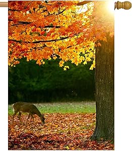 ShineSnow Autumn Forest Maple Tree Fall Leaves Animal Deer Golden Sunlight Seasonal House Flag 28