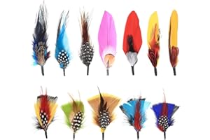 RUGLAMZHIP Hat Feathers, 12 Pcs Natural Feathers, Mixed Assorted Cowboy Hats Feathers, Crafts Feathers for Men Hats, Western Cowboy Hats, Fedoras, DIY Centerpieces Crafts Dream Catcher Decorations