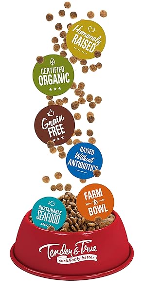 TENDER & TRUE ORGANIC TURKEY & LIVER RECIPE CAT FOOD, 3 POUND (PACK OF 1)