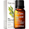 Gya Labs Organic Bay Leaf Essential Oil for Diffuser - 100% Pure and Nautral Bay Leaf Oil Organic for Hair - Bay Laurel Essential Oil Organic is Spicy, Herbaceous Scent (0.34 Fl Oz)