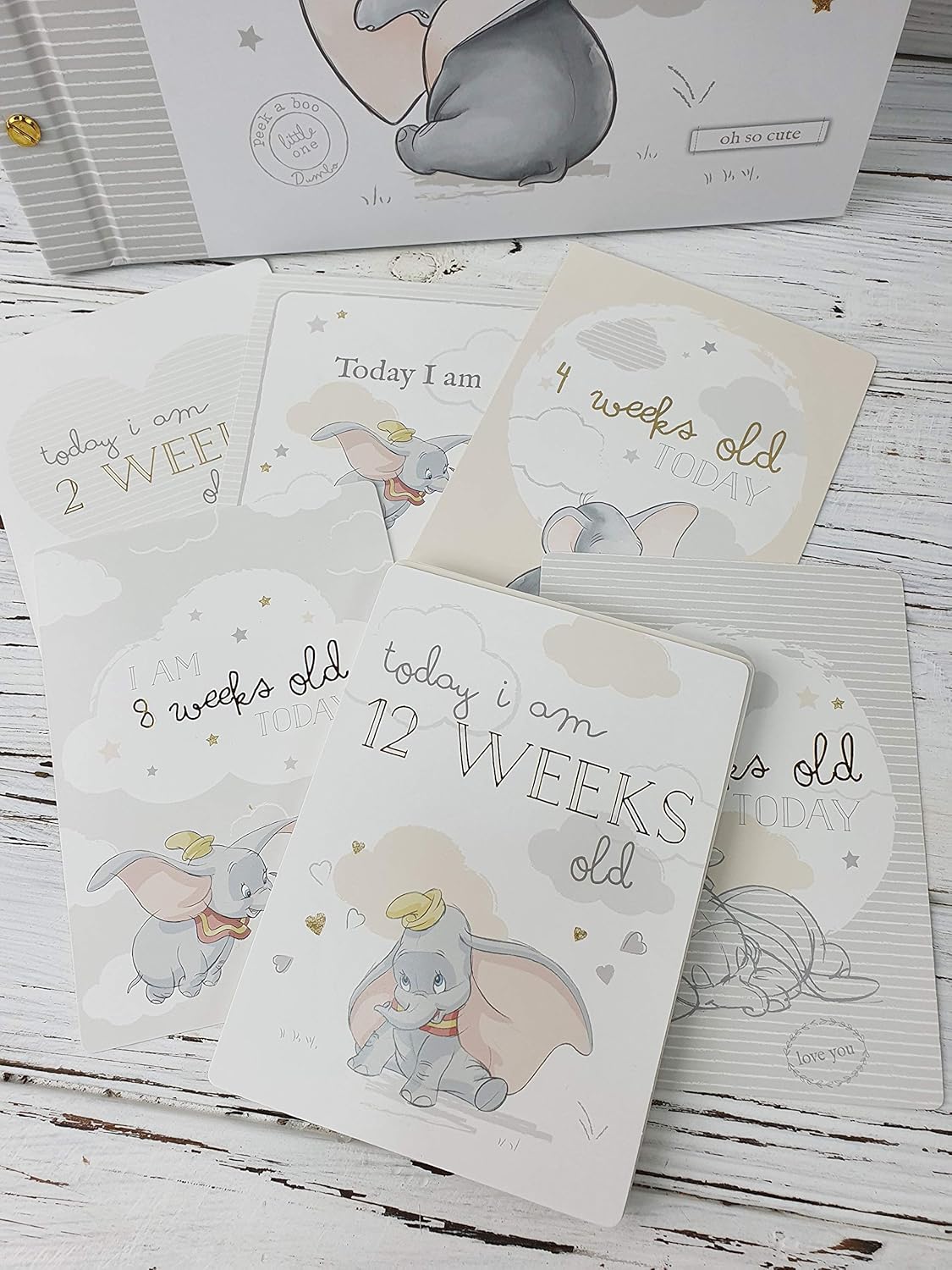 disney magical beginnings baby milestone cards