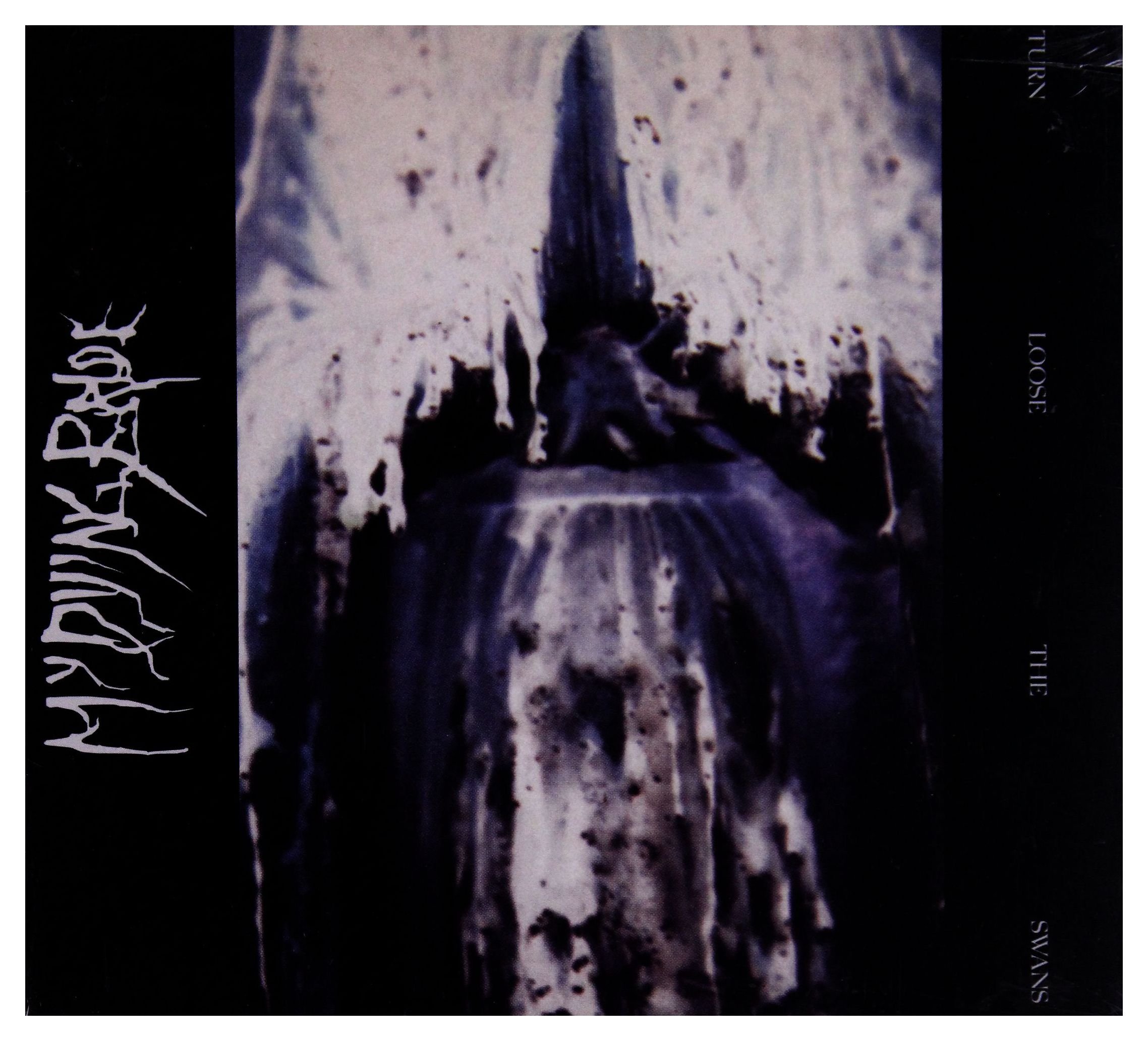 Turn Loose The Swans