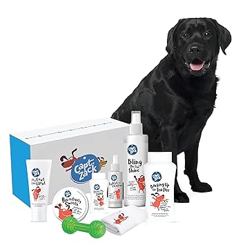 Buy Captain Zack The Labrador Groom Box Ultimate 8 In 1 Head To Paw Groom Kit For Your Dog Shampoo Conditioner Dry Shampoo Paw Butter Toy Towel Ph Neutral And Paraben Free Online