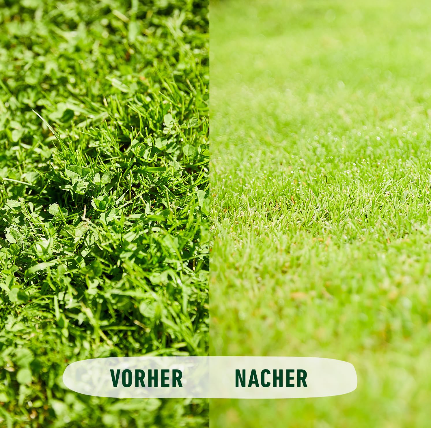 COMPO Rasendünger gegen Unkraut + Moos Komplett-Pflege Rasendünger mit Unkrautvernichter, Moosvernichter, 3 Monate Langzeitwirkung 9 kg, für 300m² 7