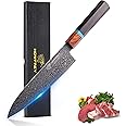 howfrey Professional Kitchen Knife，8 inch Japanese Chef Knife，Ultra Sharp Damascus Kitchen Knife with Sandalwood Octagonal Handle (Black)