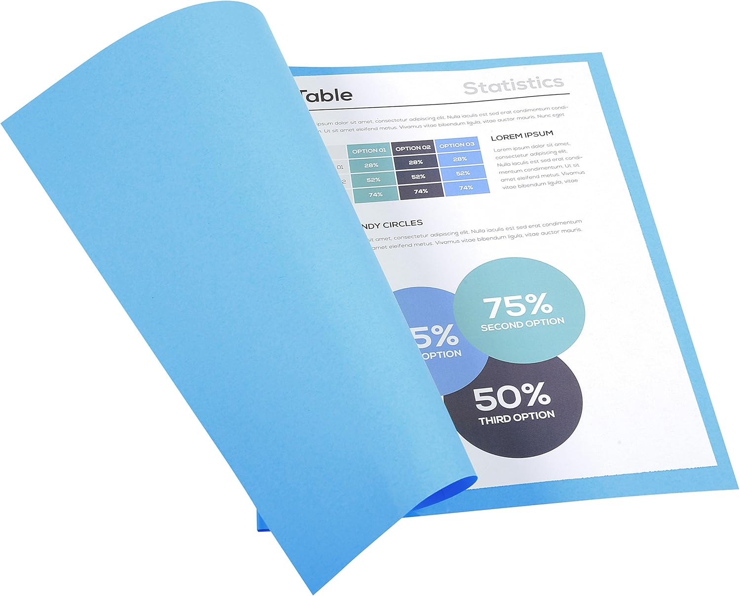 Exacompta, Ref 420010E, Forever Collection, Recycled Square Cut Folder, A4 (210 x 297mm), 170gsm Recycled Board - Image 5
