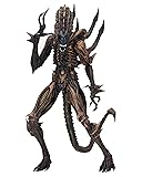 NECA - Aliens - 7" Scale Action Figure - Series 13