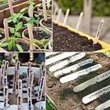 KINGLAKE 50Pcs Wooden Plant Labels with Marker Pen 11.4x1cm Birch Wood Tags view 6