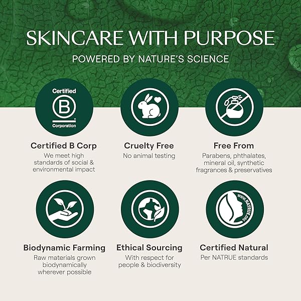 WELEDA SKIN FOOD ORIGINAL ULTRA-RICH BODY CREAM 2.5 FLUID OUNCE, PLANT RICH HYDRATING MOISTURIZER WITH PANSY, CHAMOMILE AND CALENDULA