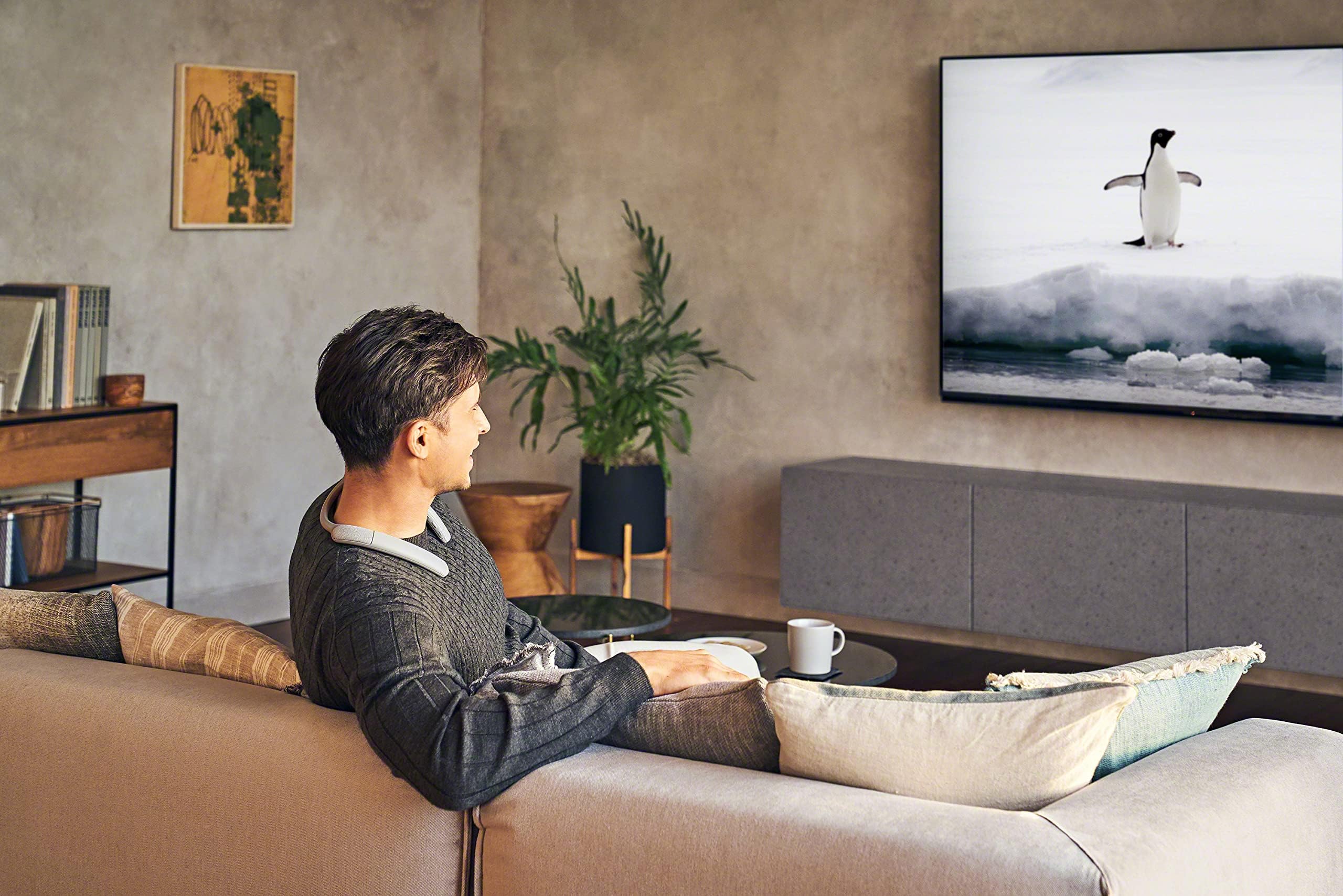 Sony Neckband Speaker