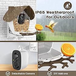 birdsnap® MON - Smart Bird Feeder with Camera, 2K