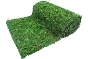 FAICOIA Moss Table Runner Dried Moss Roll for Crafts Fairy Gardens Wedding Woodland Decor 12" x 71" Preserved Green Moss Mat for Table Decoration Carpet Grass Wall 30x180cm
