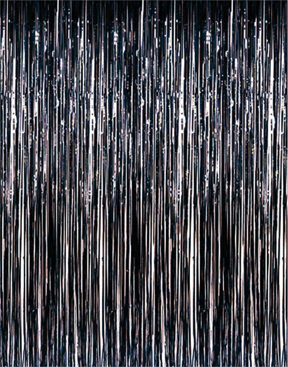 Thomas Metallic Black Foil Fringe Curtains (2-Pack, Black)