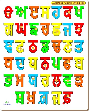 Little Genius Punjabi Consonants with Knob