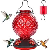 Tegarbed 25 OZ Glass Hummingbird Feeder for Outdoors, Leak Proof Hummingbird Feeder with Ant Moat, 4 Bee Resistant Feeding Po