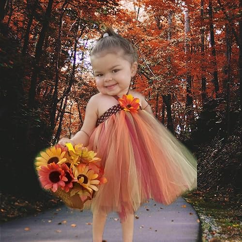 fall tutu dress