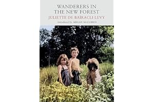 Wanderers in the New Forest