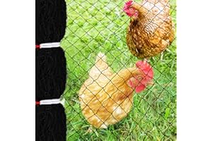 BIGMETA 25 x 50 Ft Bird Netting with 2.4 in Square Mesh, Reusable Garden Netting for Chicken Coop, Nylon Poultry Net Deer Fence Netting for Protecting Vegetables Fruit Tree from Birds Squirrel