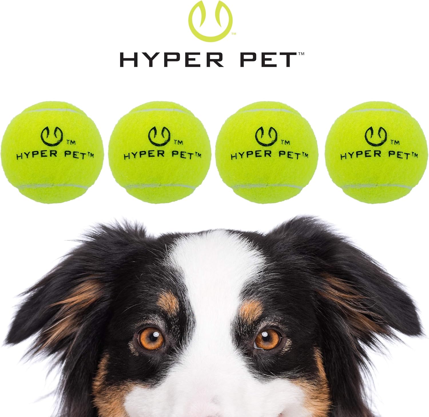 Hyper Pet Balls, Green, Pack of 4, 4 Count (Pack of 1) - Image 3