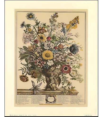 Amazon.com: October - Twelve Months of Flowers Framed Art Print by
