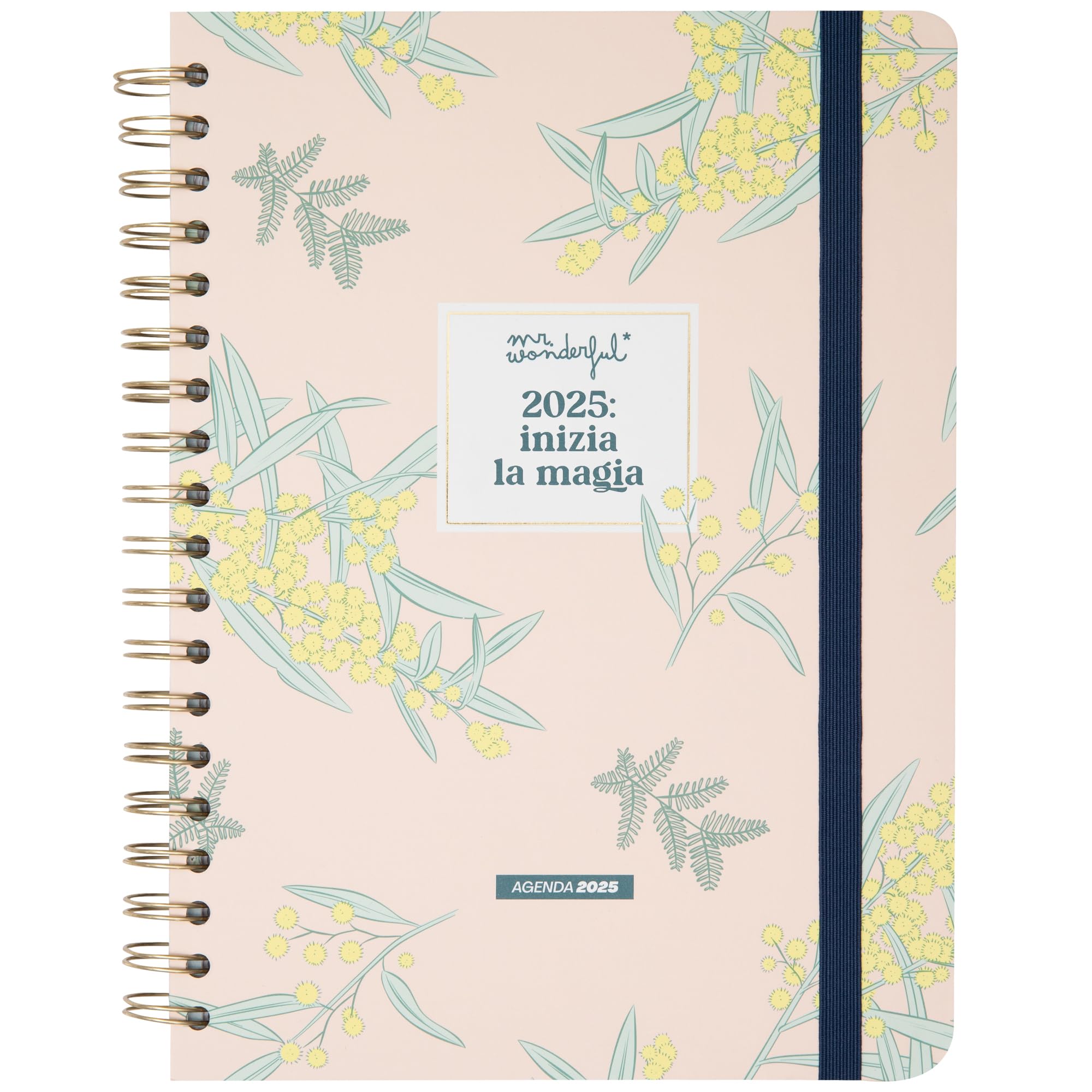 Mr. Wonderful - Office 2025 Large Weekly Diary - Start the Magic - Includes 8 Sheets of Stickers and Sticky Notes with Different Shapes