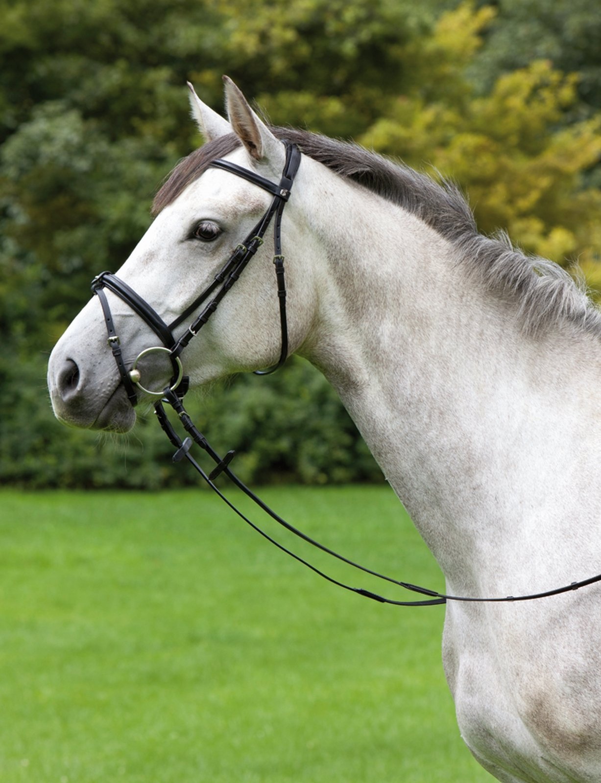 KIEFFER Snaffle bridle ANJA BERAN