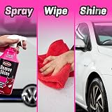 CarPlan Demon Pour On Shine 5 L Car Plan Shine Pour On view 8