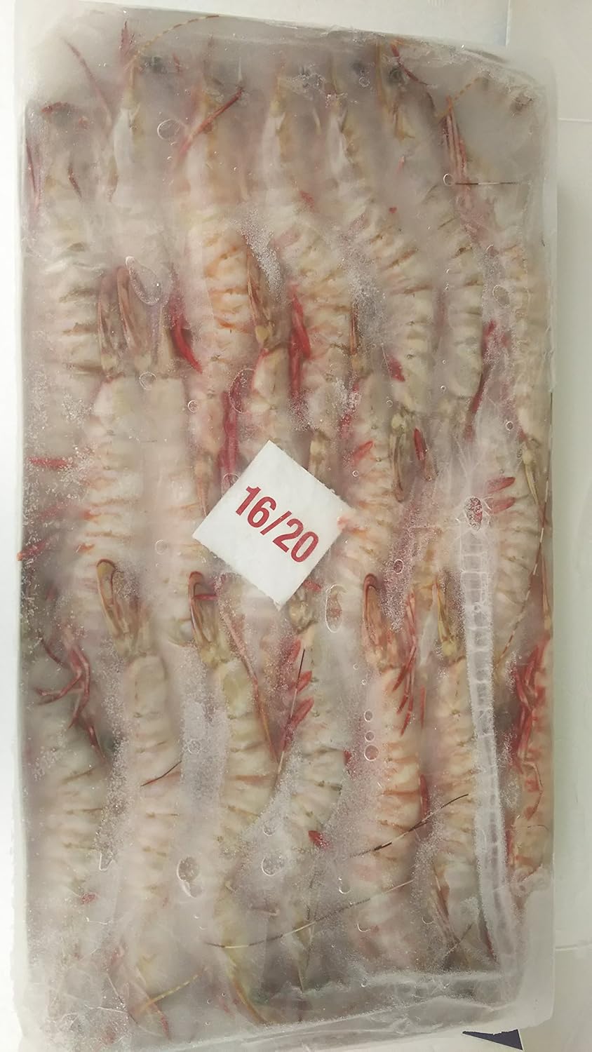 Amazon オーストラリア産 16 オーストタイガー 有頭海老 1 5kg 約53 66匹 冷凍 業務用 アイスブロック Yayoi Good Food エビ 通販