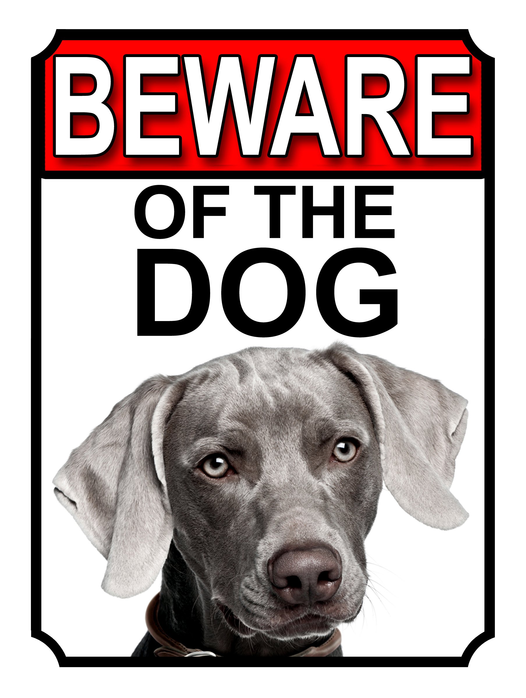 Shawprint Limited BEWARE OF THE DOG METAL GATE SIGN WEIMARANER 200MM X 150MM (1159H1)