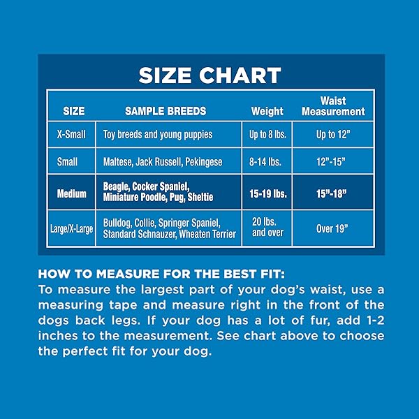 FOUR PAWS WEE-WEE SUPER ABSORBENT DISPOSABLE ADJUSTABLE DOG POTTY TRAINING DIAPERS, LEAK-PROOF PROTECTION FOR PUPPIES AND MEDIUM DOGS, EXTRA SMALL, 12 COUNT