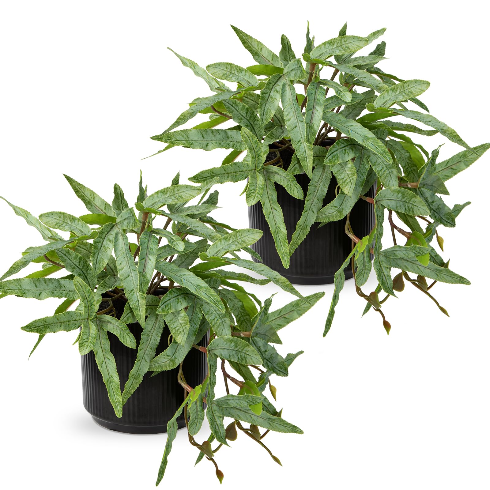 Briful 2-Packs 9" Small Artificial Fern Plants Indoor Pteris Cretica Fake Plants, Faux Fern in Black Ceramic Pot Decorative Artificial Plants for Home Living Room Kitchen Bathroom Decor