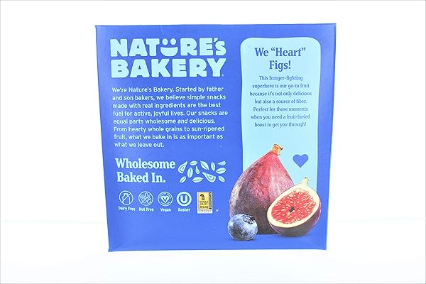 NATURE’S BAKERY BLUEBERRY FIG BARS, 2 OZ, 6 CT