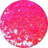 Hemway Fluorescent Pink Glitter Shaker 110g Super Chunky Resin Craft view 2