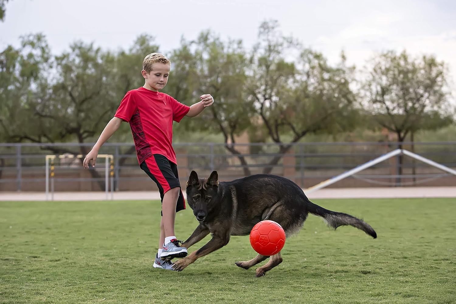 Signature Jolly Pets Jolly Soccer Ball - 8 Inch, Orange, Large - Image 3