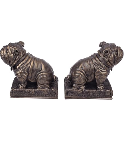 Amazon.com: SPI Bulldog Bookends Pair : Home & Kitchen